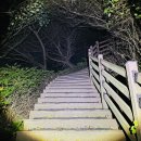 도마령(영) 이미지