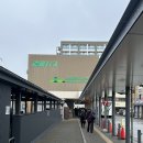 5627 | 시라카와고 : 눈 덮인 동화 같은 마을 시라카와고 겨울 여행기(버스 이용방법, 맛집 추천)