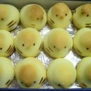 병아리소풍 이미지