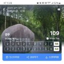경주 cc 후기 및 하루 일기