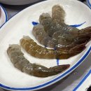 불새다찌 | 불새다찌 / 창원 생새우 / 전어회