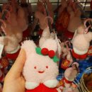 짱인형shop 이미지