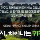 광족 이미지