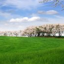 옥천목장 이미지