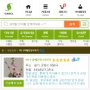 써니의베란다이야기