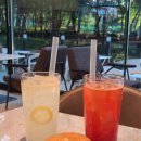 카페디토(Cafe Ditto) 이미지