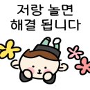 솔로몬국제여행사 이미지