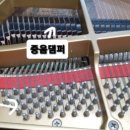 피아노피아피아노조율학원 이미지