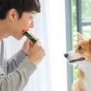 주식회사백사