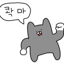 쿨데삭 이미지