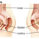 수비뇨의학과의원 이미지