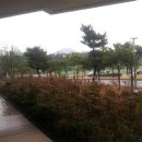 새마을금고 뒤 주차장 이미지