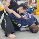 2026년 8월 광명시 하안동 천인합기도 유아?초등 영재 무술 전문 교육 도장 802-8891 이미지