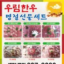 우림광고 이미지