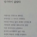 대구 라디오 방송(TBC)에 낭송가 김성희시인이 낭송한 시 이미지