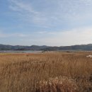 저산팔읍길쌈놀이(소리) 이미지
