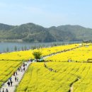 펜션 향 이미지