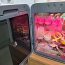 [육아템] 분유 수유의 필수품 조합 &#39;유팡 젖병소독기 + 와드맘 분유포트&#39; 내돈내산 구매 및 사용후기
