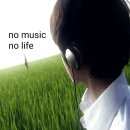 ?: 페스티벌? 공부 못하면 그냥 가.