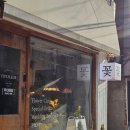 나무수 | 개업화분부터 식물 입문까지 신사동 나무수 플라워앤가든 추천 후기