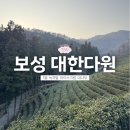 대한다원화장실 | [공지] [보성 명소] 녹차밭과 대나무가 아름다운 '대한다원' | 1월 겨울여행