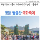 2024년 화순 버스킹 | 전남 영암 월출산 국화축제 기찬랜드