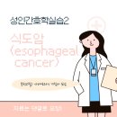 청진약품 | 성인간호학실습2 <외과> 지침서, 문헌고찰, 사례보고서 공유(식도암-esophagealcancer 문헌고찰/ 사례...