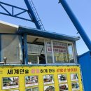 산방산랜드 | 제주도 산방산랜드 바이킹 썰매 승마 주차 입장료 시간 양 먹이주기 가격 후기
