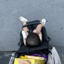 연화춘짜장 이미지