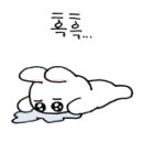 스팀닥터동해지점