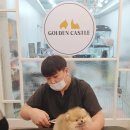 골든캐슬아로마 네이버블로그