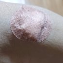 청감송명근의원 이미지