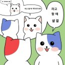 밈