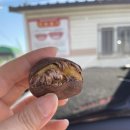 대천항 꽃게가격과 구매후기