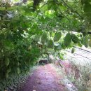 금주농장 이미지