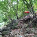 춘천마당발펜션 이미지