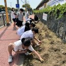 화북초등학교 이미지