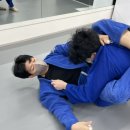 더썬유도관 이미지