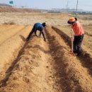 재형농장 이미지