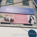 인셀덤루비대리점
