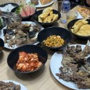 엠지푸드 | 6박7일 남고비 사막+테를지 엠지에어투어 후기