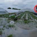 봉동체육관 이미지