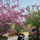 하세동길 이미지