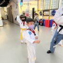 마루한멋태권도 이미지