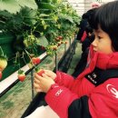 천현농장 이미지