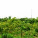 베스트원부동산중개법인주식회사 이미지