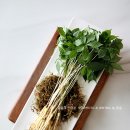 농업회사법인 유한회사 새싹 이미지