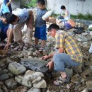 감자서리 이미지