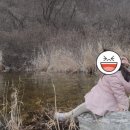 황정민글램핑 이미지