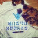협동조합그래봄